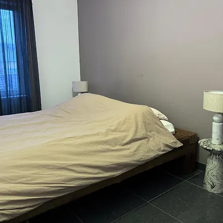 Duplex Vue Sur Les Vosges *