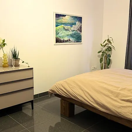 Duplex Vue Sur Les Vosges *