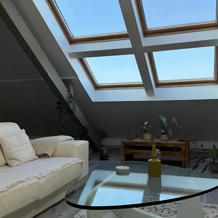 Duplex Vue Sur Les Vosges דירה Riedisheim